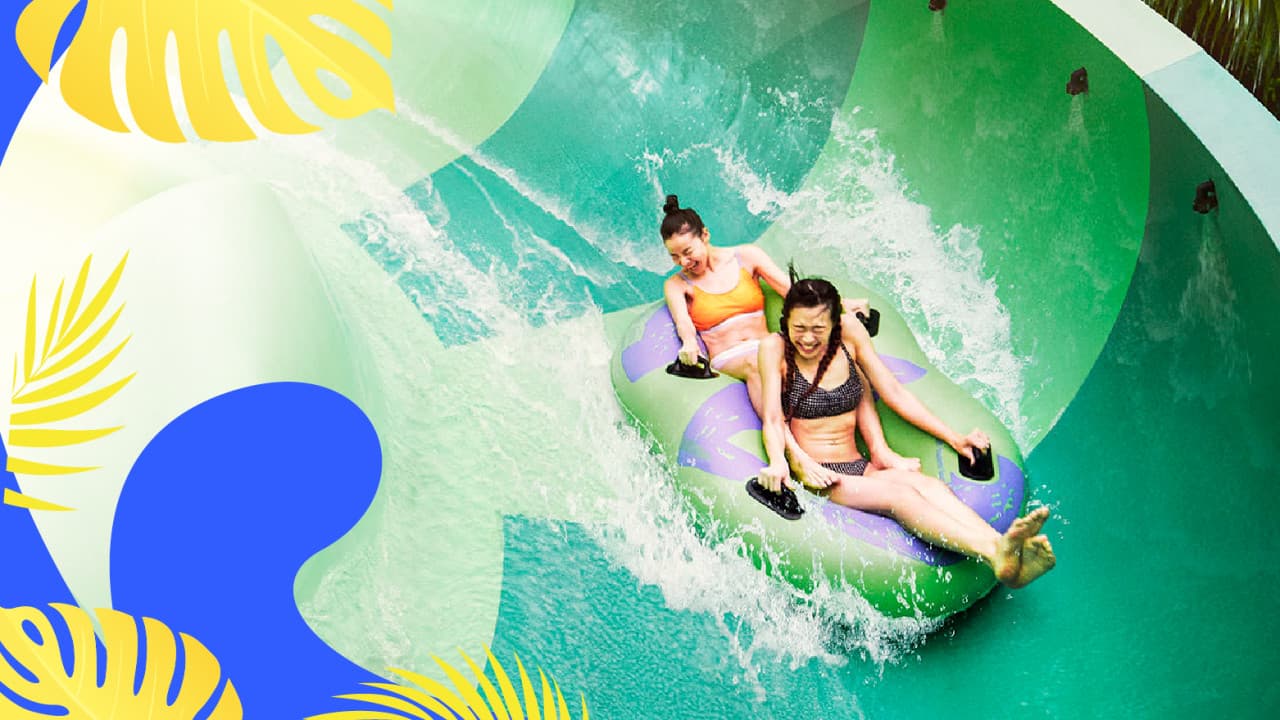 Adventure Cove Waterpark Ticket - image 4