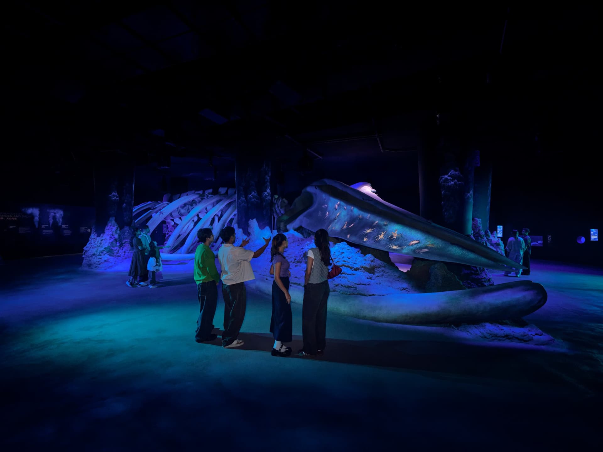 Singapore Oceanarium Ticket - image 3