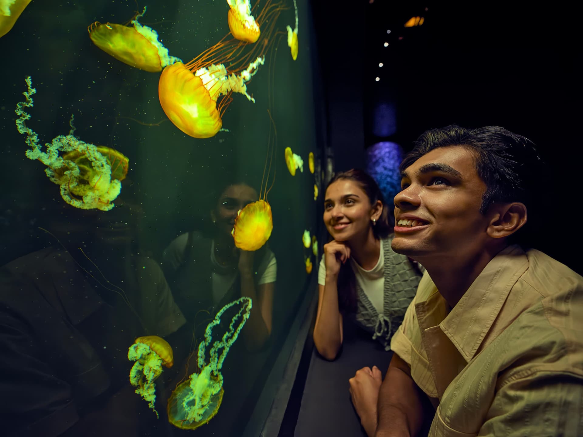Singapore Oceanarium Ticket - image 7