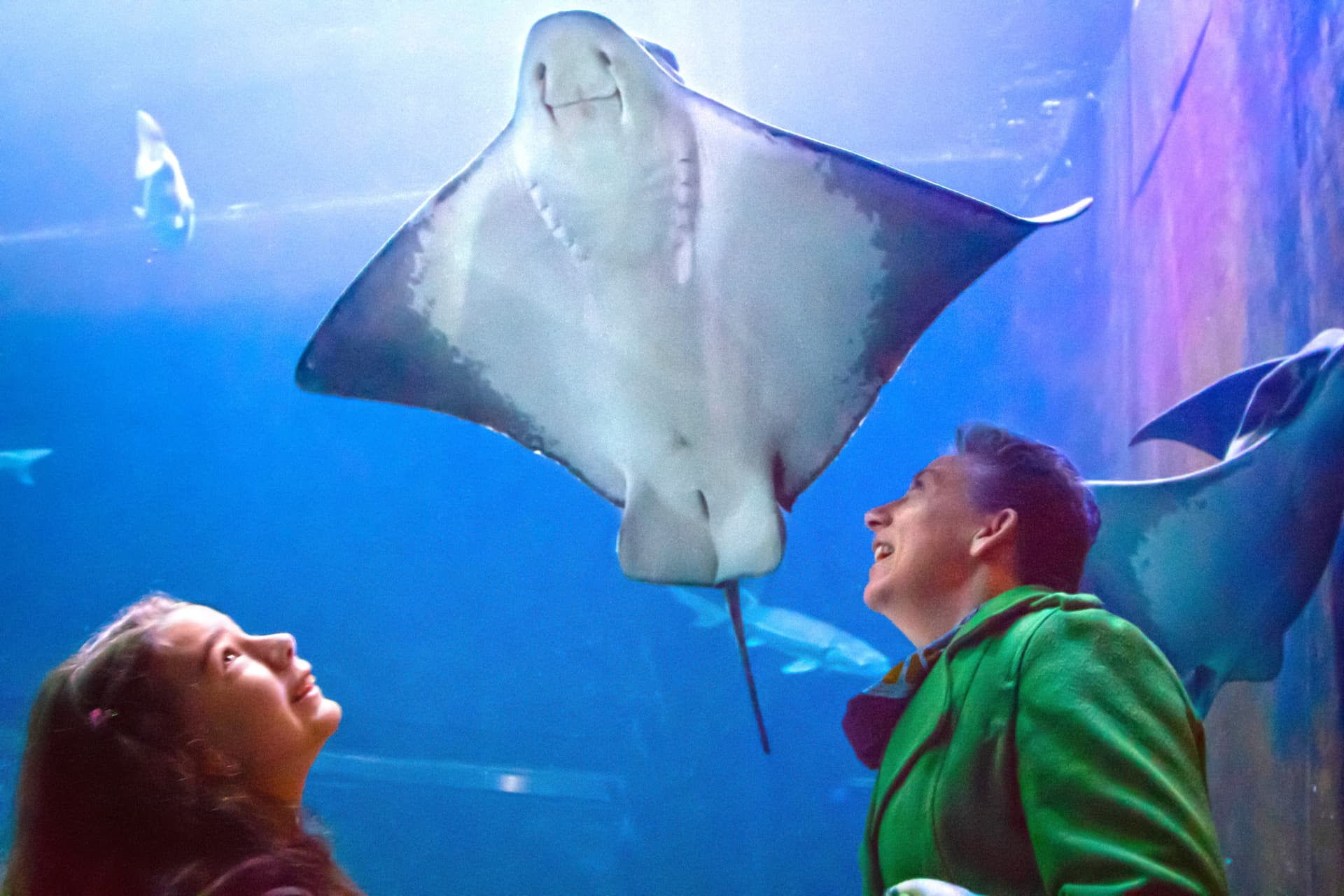 Go City San Francisco Explorer Pass: Save up to 50% on Attractions - image 12
